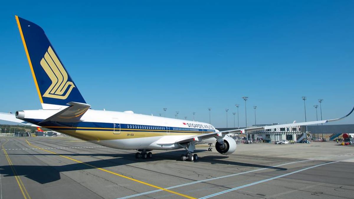 Singapore Airlines Pushes for Stronger Oversight Before Boosting Air India Investment