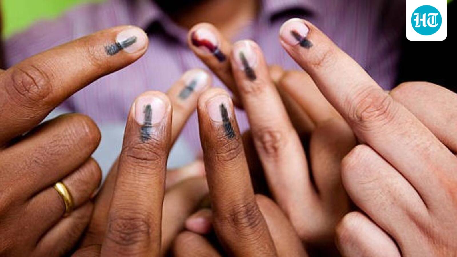 TDP Alliance Secures Majority of Unopposed Rural Seats in Andhra Pradesh