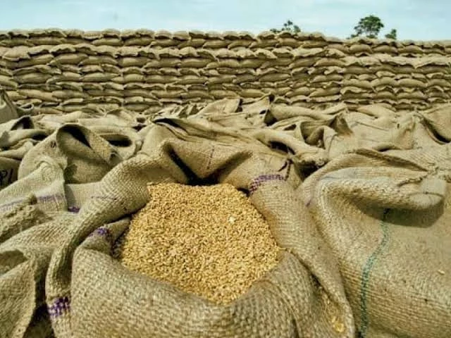 Hyderabad Wheat Prices Surge to Record Rs13,100 per 100kg