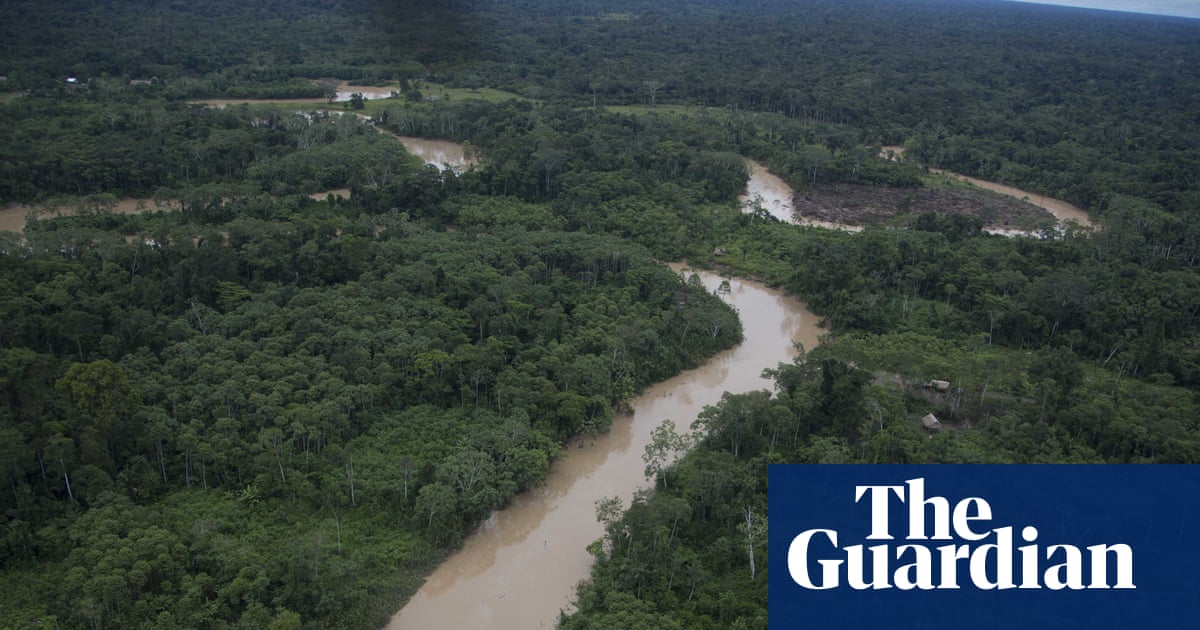Unconditional Cash Grants to Peruvian Amazon Communities Boost Forest Conservation, Study Finds