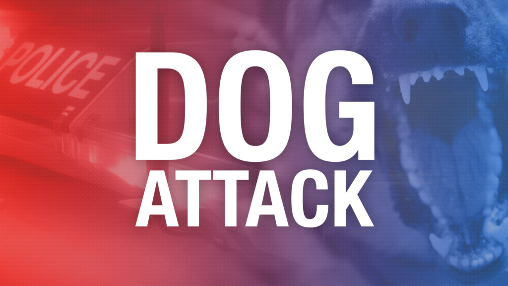 9‑Year‑Old Sustains Injuries After Dog Attack in Christian County