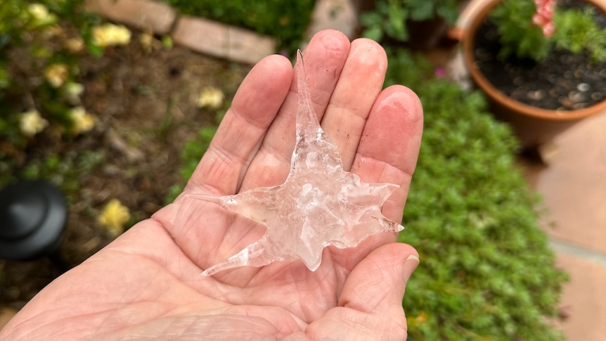 Seven‑centimetre Hail Hits South‑East Queensland Amid Severe Storms
