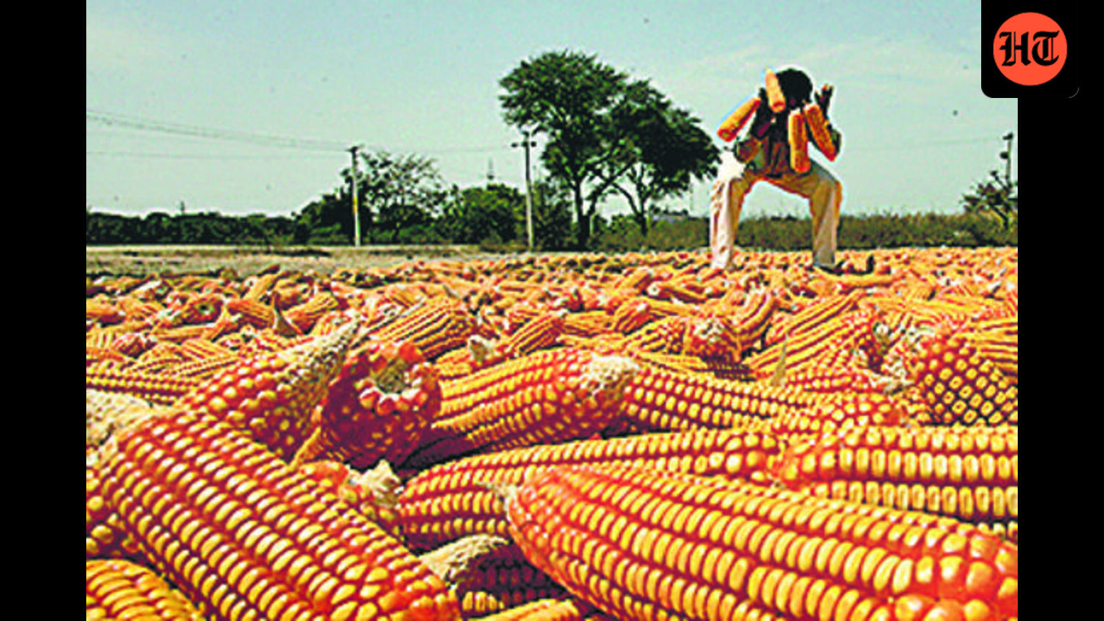 US Grain Industry Pushes Maize for India’s Expanding Ethanol and Aviation Fuel Markets