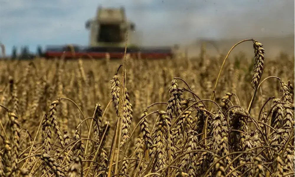 Pakistan’s Food Prices Fluctuate as Supply Chain Weaknesses Persist