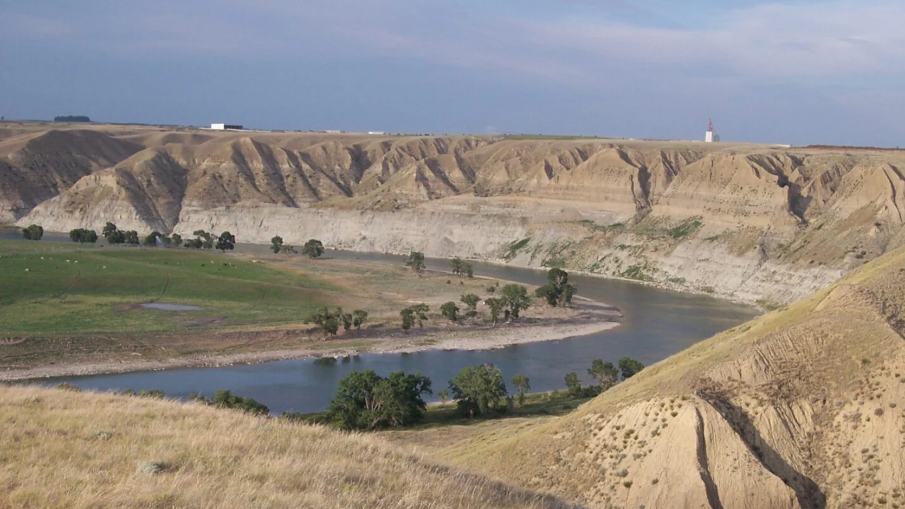 Domena Diesing’s 1981 Inheritance Helps Secure 1,000‑Acre Conservation Area on Lasqueti Island