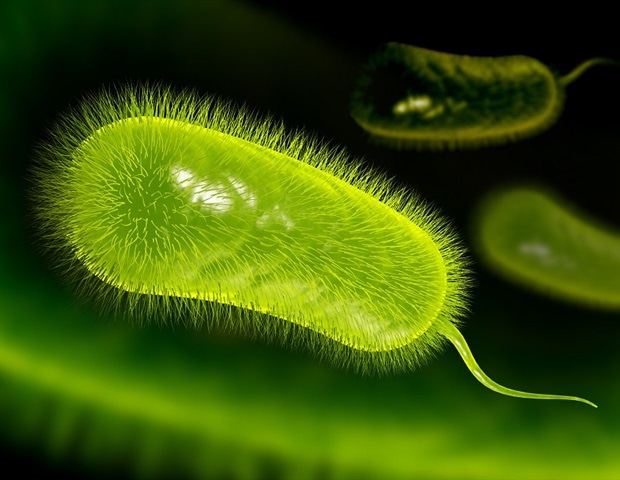 Study Links Stomach Bacterium H. Pylori to Nearly a Quarter of Global Bowel Cancer Cases
