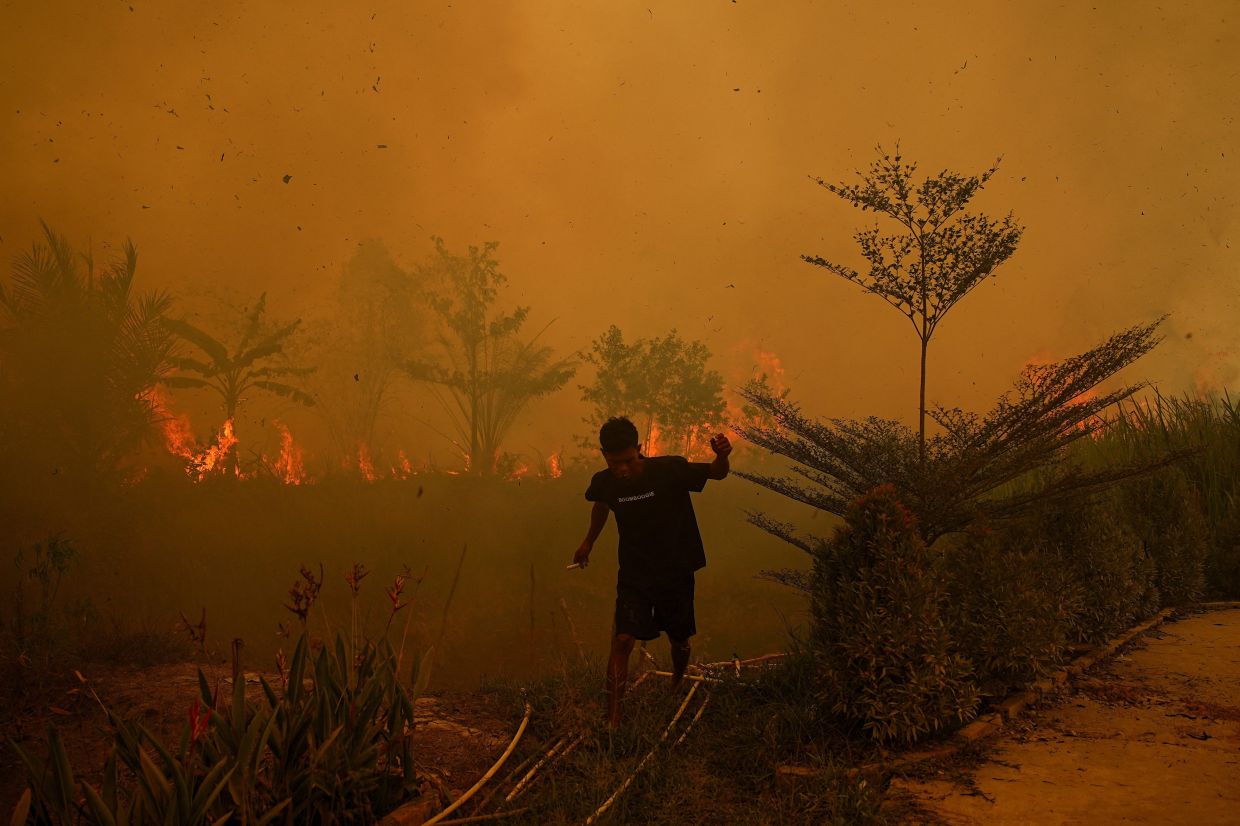 Indonesia Records 1,201 High‑Confidence Forest Hotspots Amid Ongoing Haze