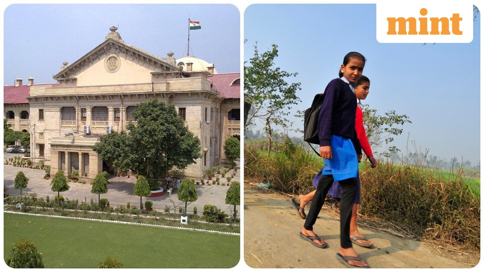Allahabad High Court Orders Verification of UP Government School Teachers’ Credentials