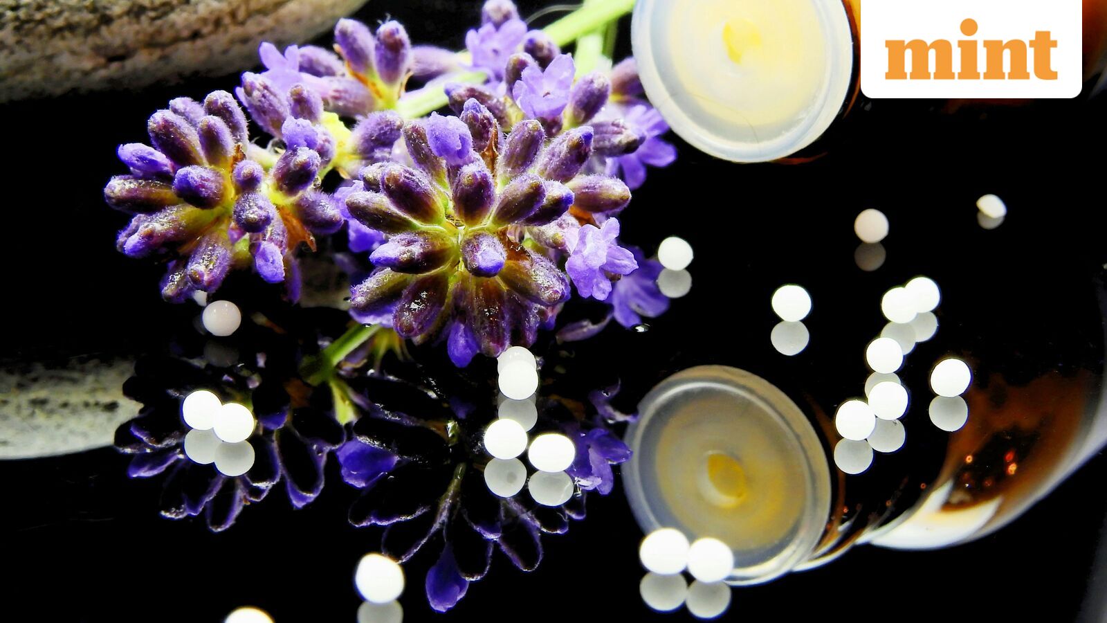 India to Require Homoeopathy Degrees for Inspectors of Alternative Medicine Plants