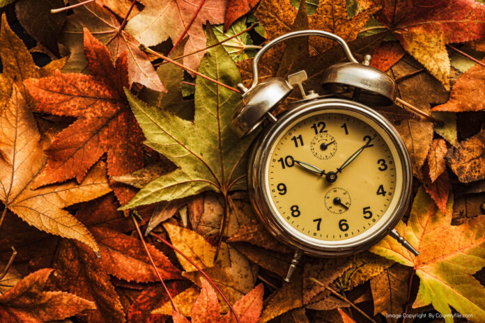 The Daylight Saving Timing (DST)