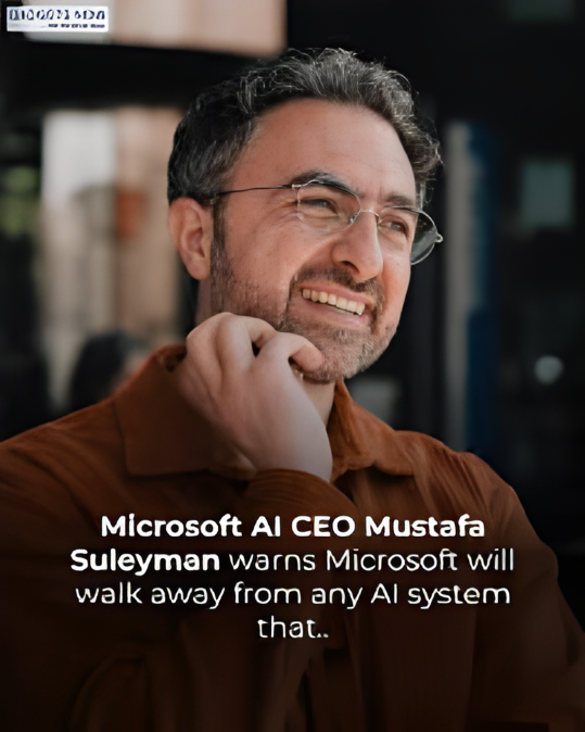 Mustafa Suleyman Microsoft AI warning
