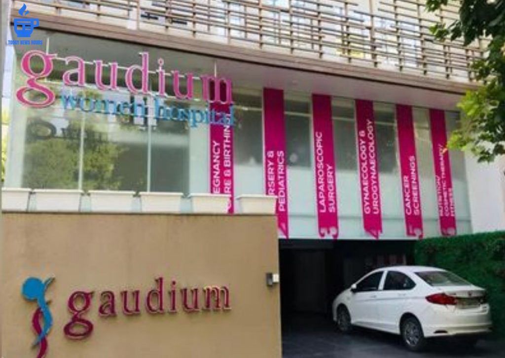 Gaudium IVF And Women Health IPO Opens Day 1 Subscription Price Band Lot Size GMP Details